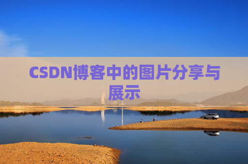 CSDN博客中的图片分享与展示
